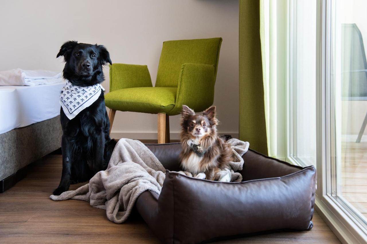 Schnitzers Dahoam - Hundefreundlich Hotel Bad Wiessee Eksteriør billede